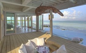 سونيفا جاني